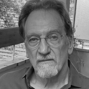 Ivan Vladislavic